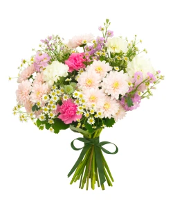 Karafiáty, chryzantémy