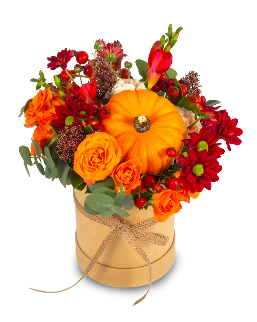 Halloweenský box s dýní