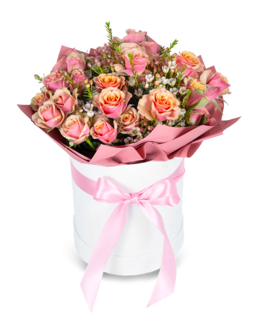 Růžové trsové růže box