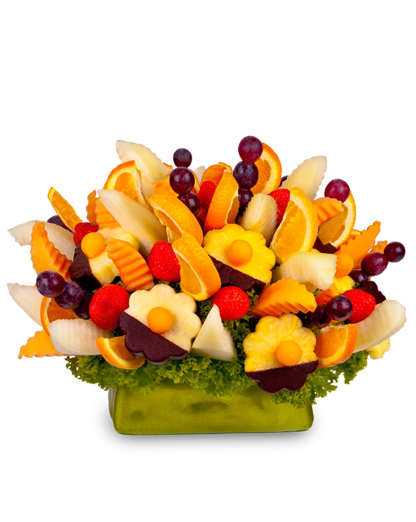 Pomerančová zahrada